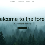 Black Forest Labs
