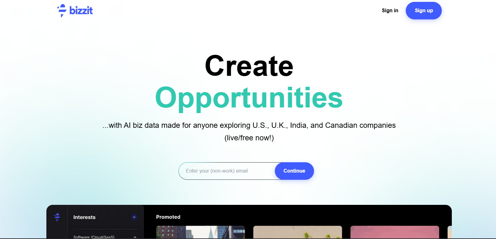 bizzit-ai-business-insights