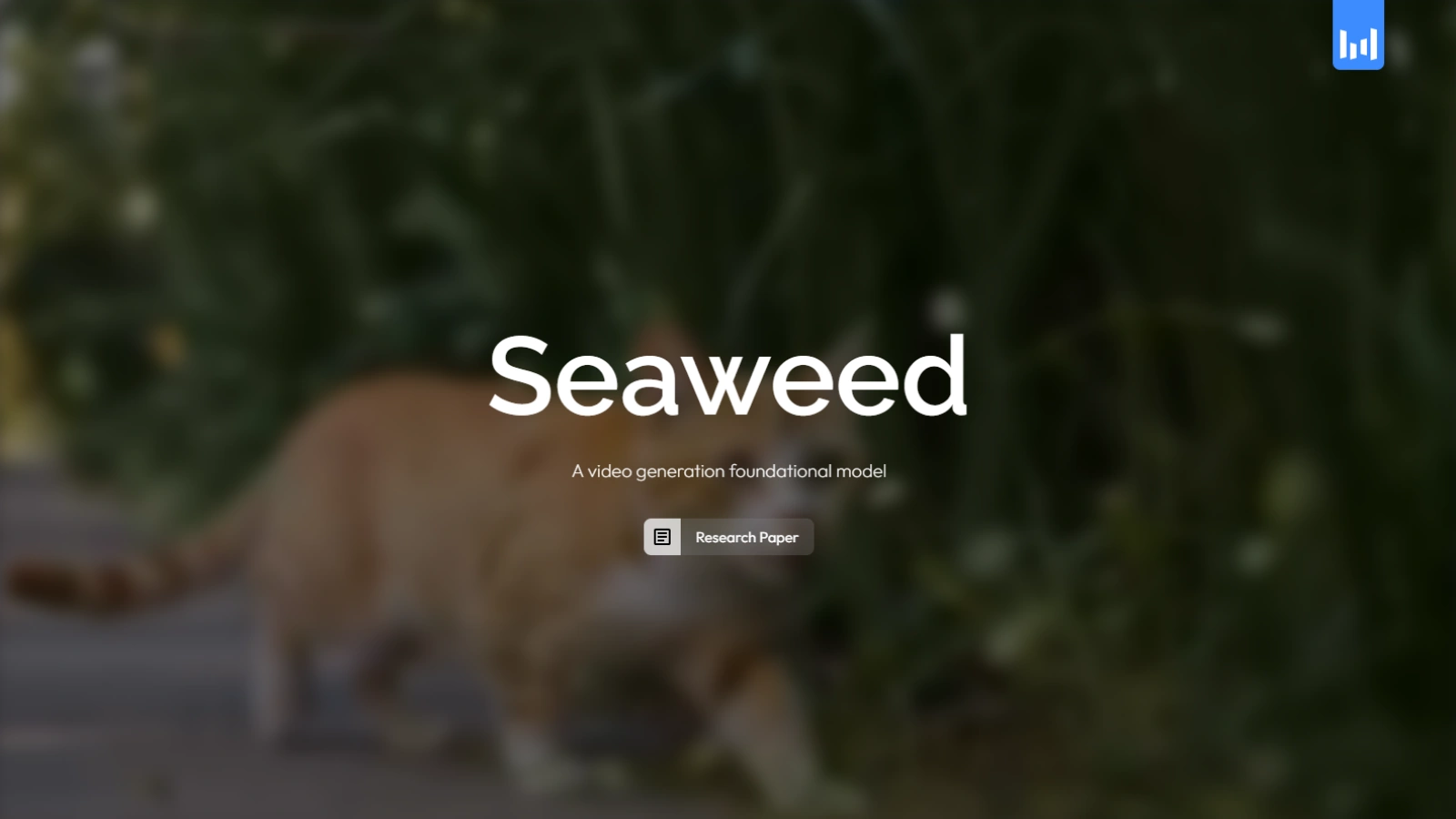 Seaweed.video seaweed-video